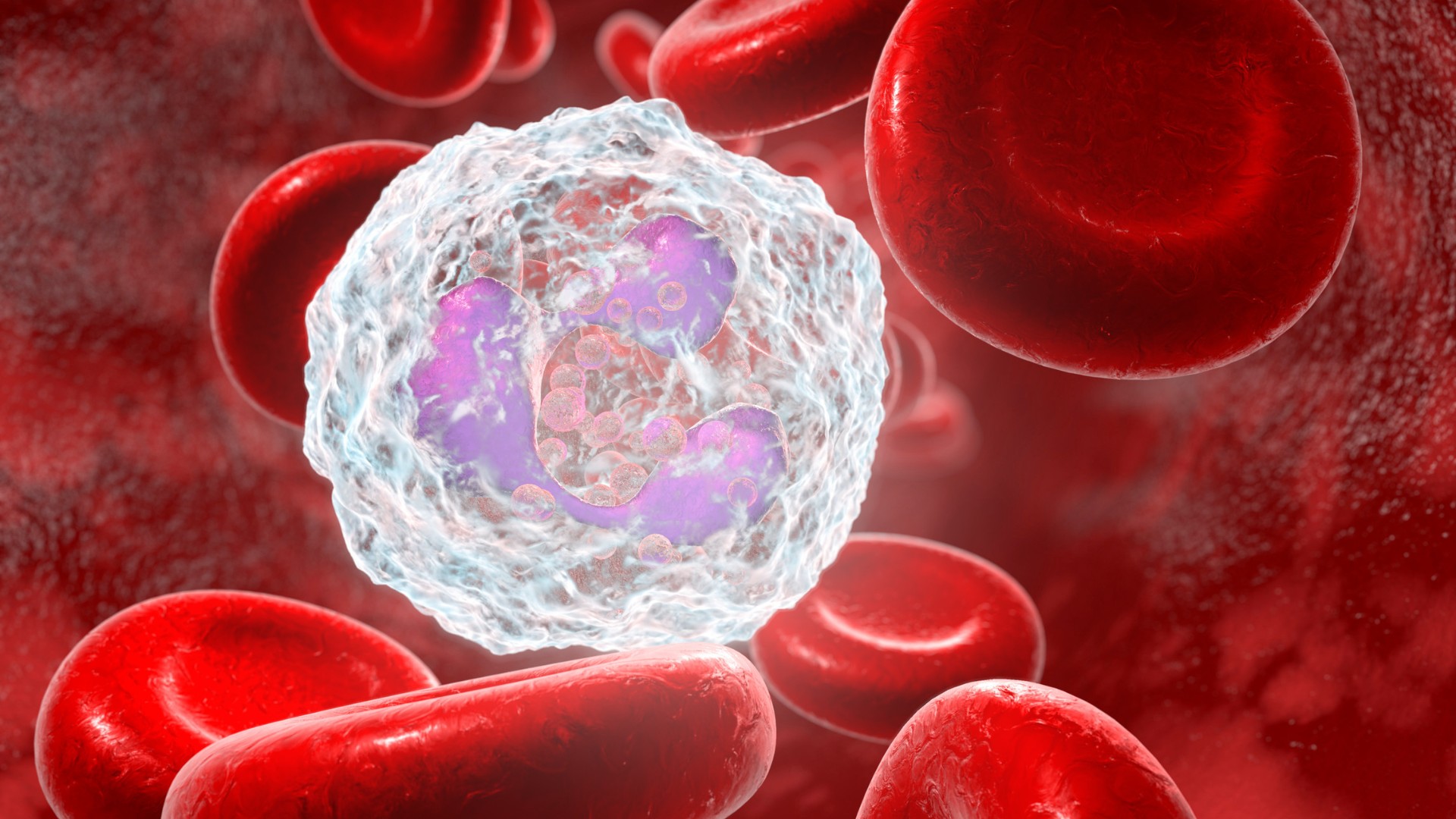 fibromyalgia make you immunocompromised